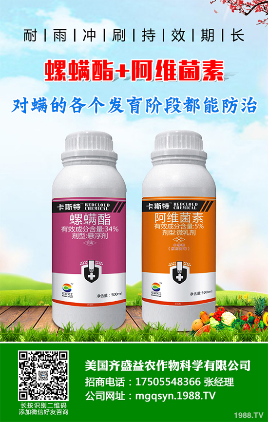 ؐ˹���M���Y���K����3.63�|Ԫ ���ڶ������`�������x���µ�ϵ�Юa(ch��n)Ʒ�Ŀ�Č�ʩ