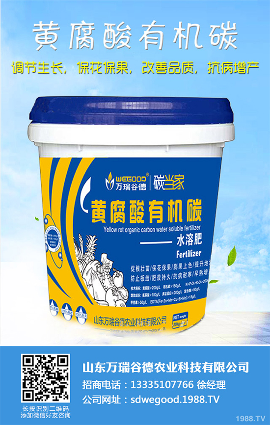 ħ��r(ji��)������Xһ����2020��ħ��Nֲ���Ј�����