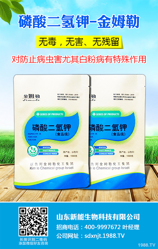 ħ��r(ji��)������Xһ����2020��ħ��Nֲ���Ј�����