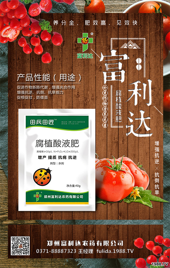 �Nֲʲôˎ����ٍ�X��2020����ˎ�ķNֲǰ������