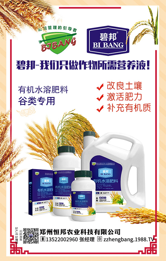 ����������Щ��̎������Ĺ�Ч���ü�ʳ�ý���