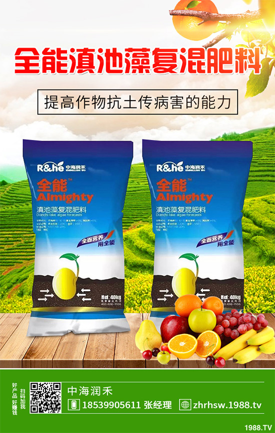 ���r����͸���������Щ�^(q��)�e���ǂ�Ч��������