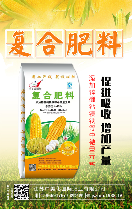 2019��12��31�ս�������(f��)�Ϸʃr(ji��)������ӑB(t��i)���(b��o)��