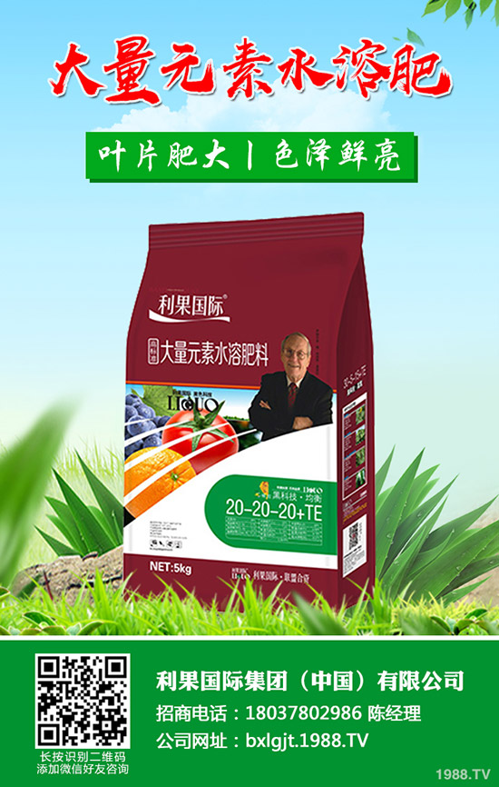 ���FƤʯ����ʲô��̎���FƤʯ���Ĺ�Ч�c��������Щ