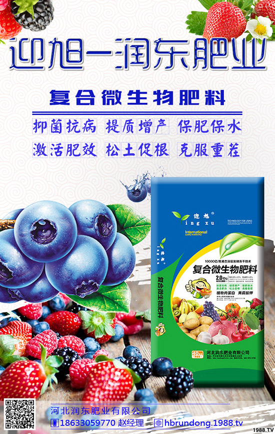 ���@��ʲô���݄��������@������ô�x����݄���