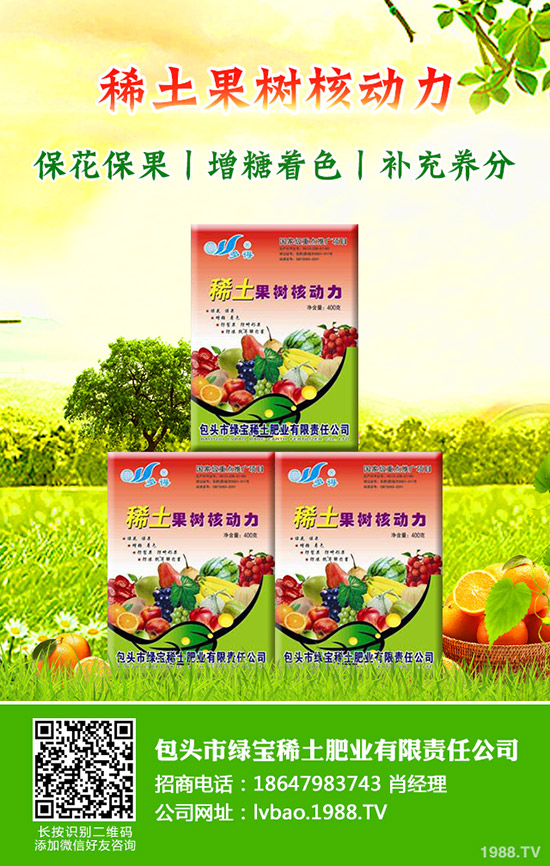 大棚西瓜該怎么育苗，大棚西瓜育苗需要掌握哪些知識