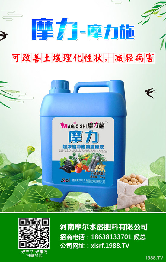 �����ʲô���Ϻ������ʩ�ʼ��g(sh��)����Щ��