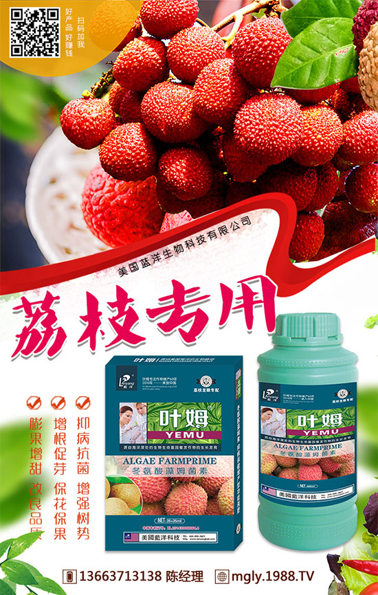 �t�탦�ص��������t�탦������Щ������