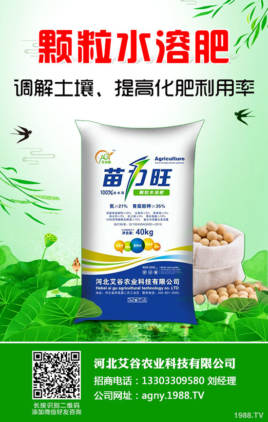 西瓜種植要高產(chǎn)，不可不看這一篇！全面實(shí)用