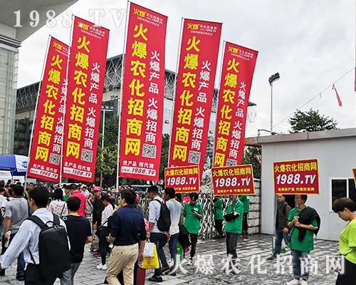     2019�����r(n��ng)�Y���[�������cͻ�@��1988.TV�ɽ��c