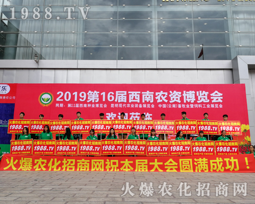     2019�����r(n��ng)�Y���[�������r(n��ng)���W(w��ng)�������o̎����