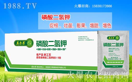 ����������(j��)��Ӣ����ֲ��y���r(n��ng)���W(w��ng)�����W(w��ng)�j(lu��)����·��