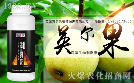 ����������(j��)��Ӣ����ֲ��y���r(n��ng)���W(w��ng)�����W(w��ng)�j(lu��)����·��