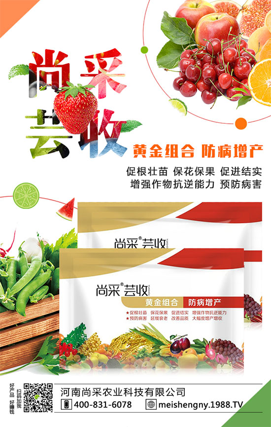 ���������ʵ͵�ԭ����ʲô�������������������ʣ�