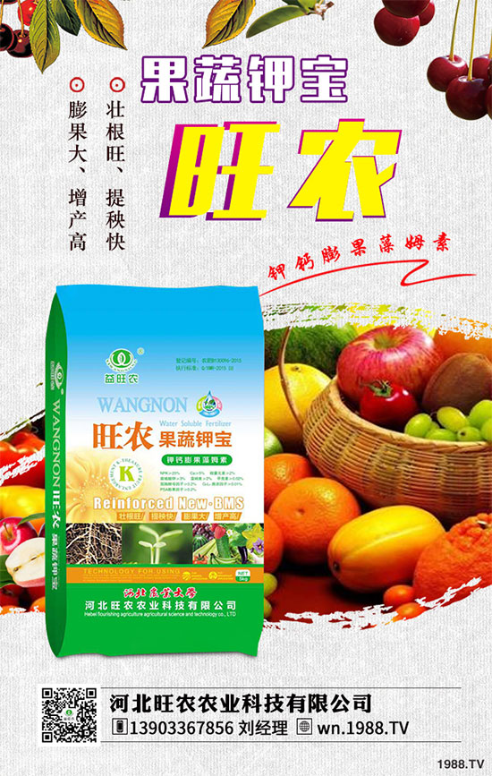 ��������ķNֲ�r�g������������������Ҫ�c����Щ��