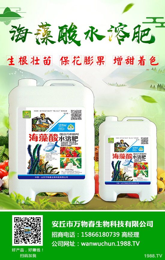 �＾��ηN�ô�ײ�����Ҫע��ʲô��