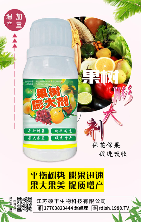 ��ľ���Ĺ�Ч�c��������ľ�����ʳ��������Щ��