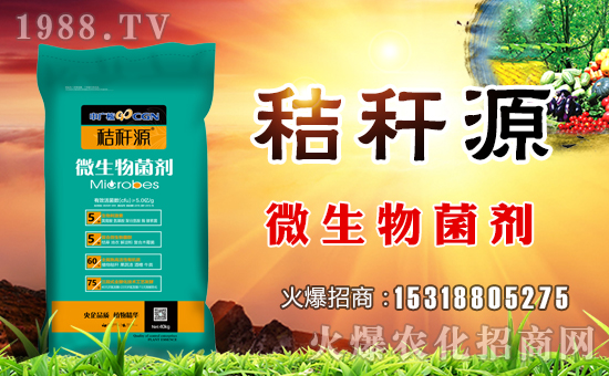 ɽ�|�f�����B(t��i)���v���r(n��ng)���W(w��ng)�����\�����°l(f��)չ��