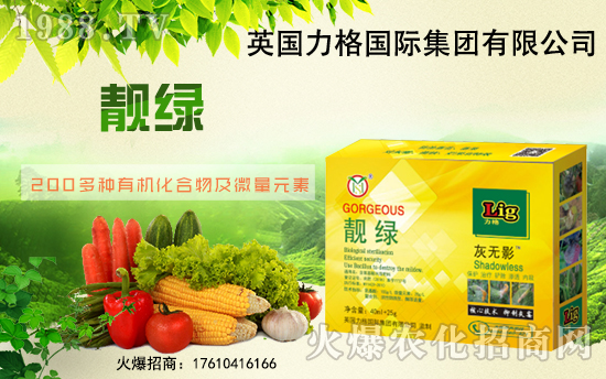 Ӣ�������ٶȔy��1988.TV���y�ֹ���(chu��ng)��(zh��n)�����ل�(chu��ng)�x����