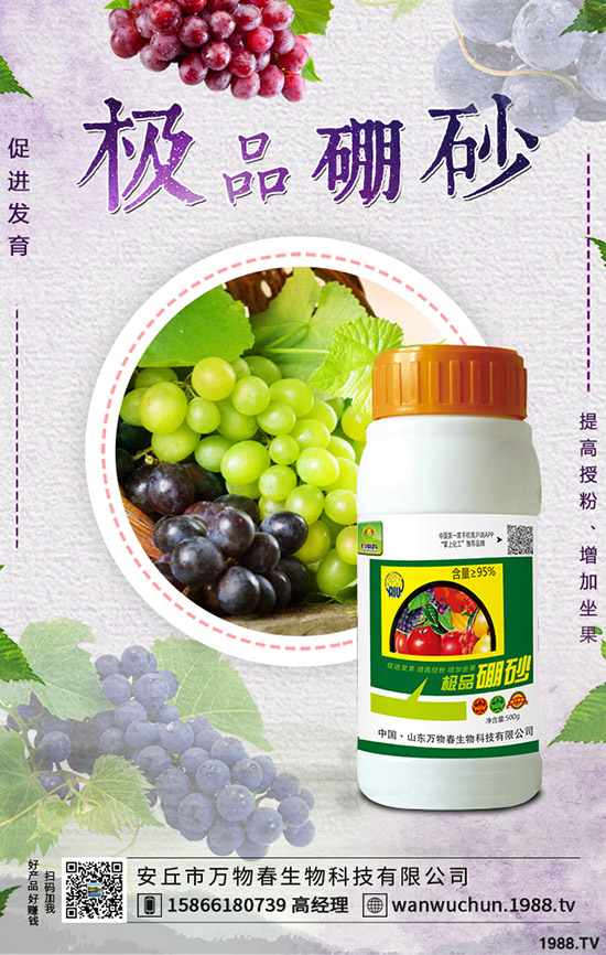 �����ηNֲ����轷Nֲ�l������Щ��