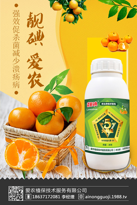 ���r(n��ng)ֲ�����g(sh��)����(w��)���޹�˾