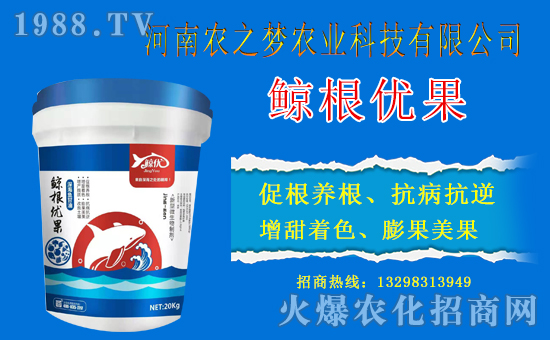 �������x������(j��)�������r(n��ng)֮��(m��ng)�r(n��ng)�I(y��)�Ƽ��y�r(n��ng)���W(w��ng)�������x����