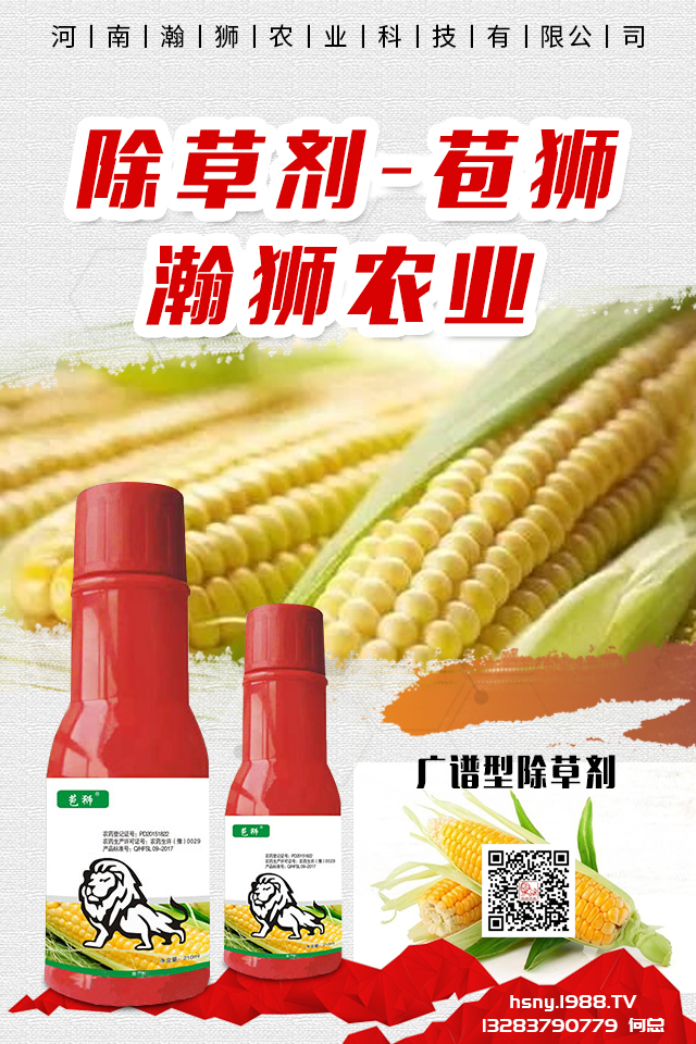 �������x����N���ò������������x����N����B