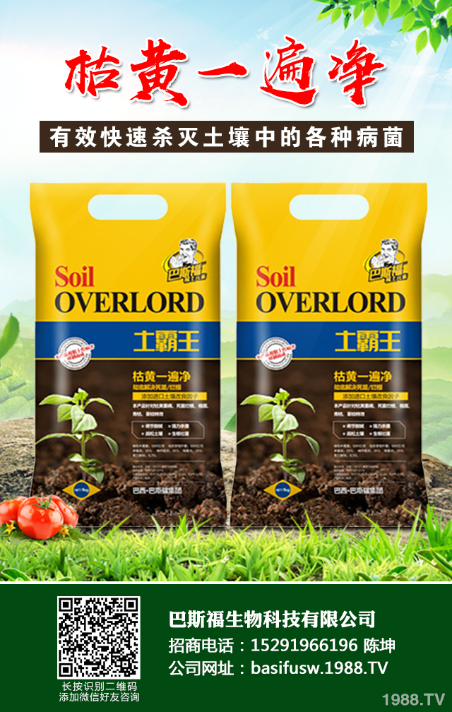 小麥葉子發(fā)黃怎么辦？小麥葉子發(fā)黃防治技巧