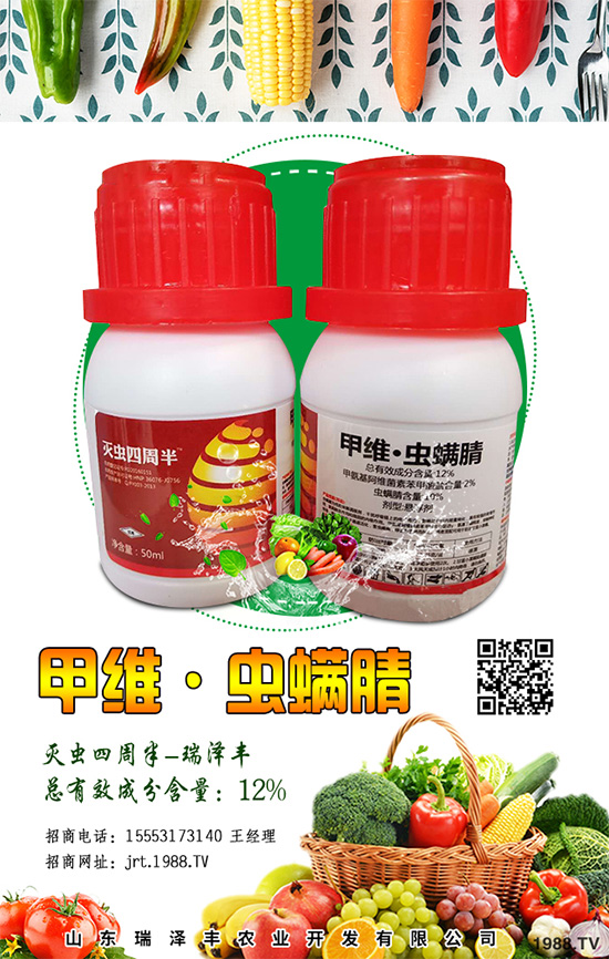 �������x(ch��ng)���r(ji��)��