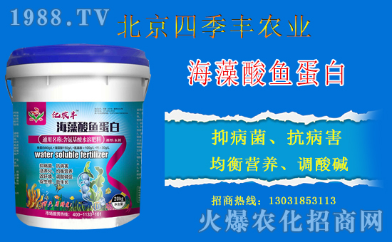 �����ļ��S�c���r(n��ng)���W(w��ng)���m(x��)ǰ�����y�ֹ���(chu��ng)���x����