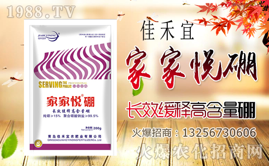 1988.TVϲӭ�����ѣ����u�Ѻ����r(n��ng)�ʘI(y��)��(qi��ng)�݁��u