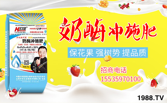 ɽ�����r(n��ng)���ٶȔy��1988.TV���_�ؾW(w��ng)�j(lu��)�����¾�����