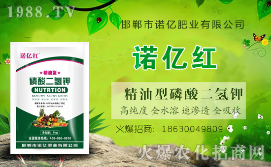 ���r(n��ng)���W(w��ng)ϲӭ���������y�����Z�|�ʘI(y��)����ؔ��֮·