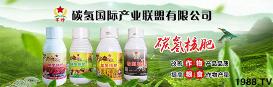 �ϰټ�ý�w��(b��o)�������쳬�^(gu��)�W��ʳƷ��(bi��o)��(zh��n)���̼?x��)�˷ʾ����@ô����