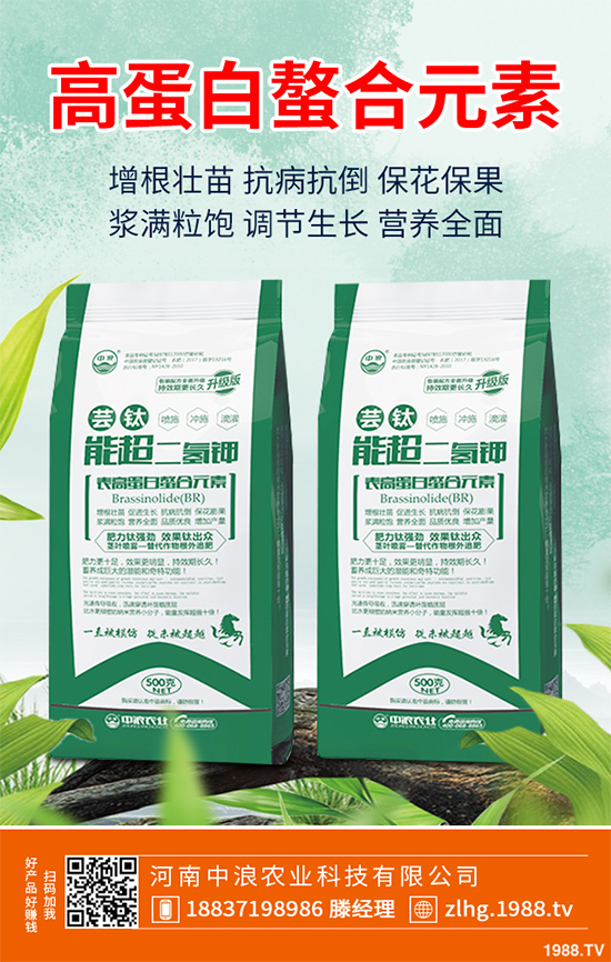 ���ʲô�r��NֲЧ���������˸߮a(ch��n)�Nֲ���g(sh��)Ҫ�c