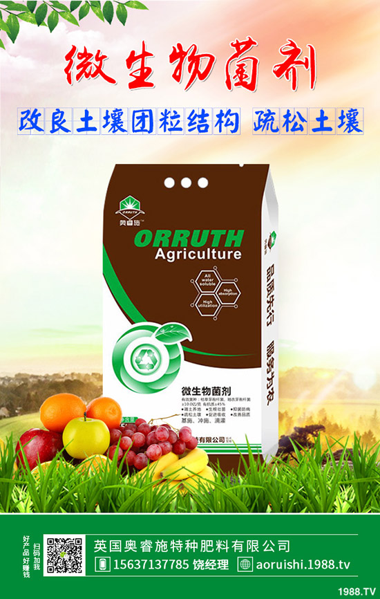     ������������������؃r(ji��)�������߄�(sh��)����2019��9��11��