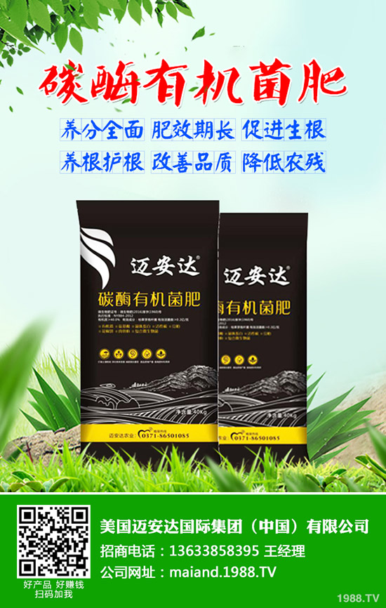 ����ʲô�r(sh��)��N���������N��(y��ng)ע����Щ���}��