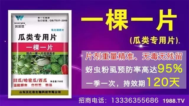 蚜蟲、飛虱防不。恳黄庉p松搞定!預(yù)防率95%,持效長(zhǎng)達(dá)120天!
