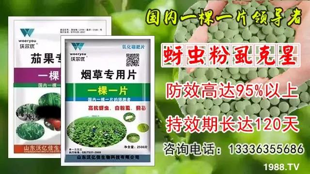 蚜蟲、飛虱防不。恳黄庉p松搞定!預(yù)防率95%,持效長(zhǎng)達(dá)120天!
