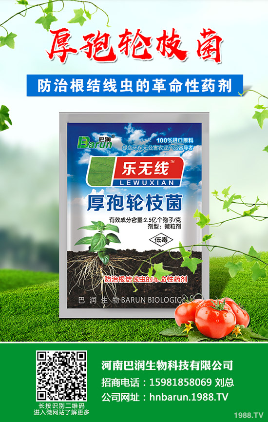 ��֦���~��ô�޼�����֦���~�޼�������