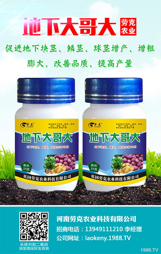 �������Щ�I�B(y��ng)�rֵ���Խ������Щ��̎����˵Ĺ�Ч�c����