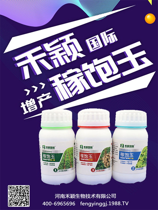 ����Nֲ���ի@�r�g������Nֲ�����L�h(hu��n)����