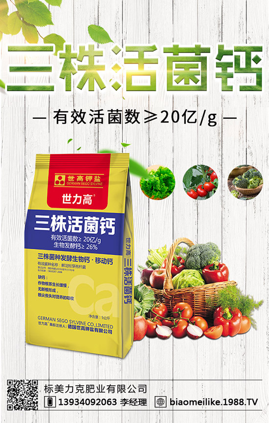 ���S��ʲô�r������������S�������ע�������