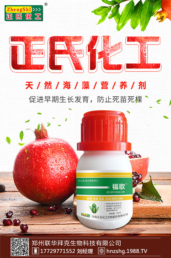 ���y����ʲô���������y���Ĺ�Ч�cʳ�ý�����