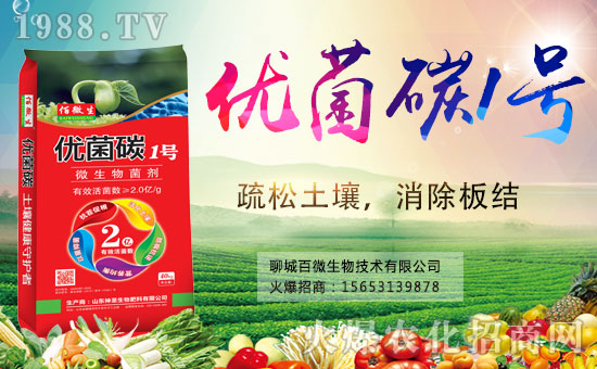 �������x������(j��)���ĳǰ�΢���m(x��)ǰ�����y���r(n��ng)���W(w��ng)����(chu��ng)���x�ͣ�