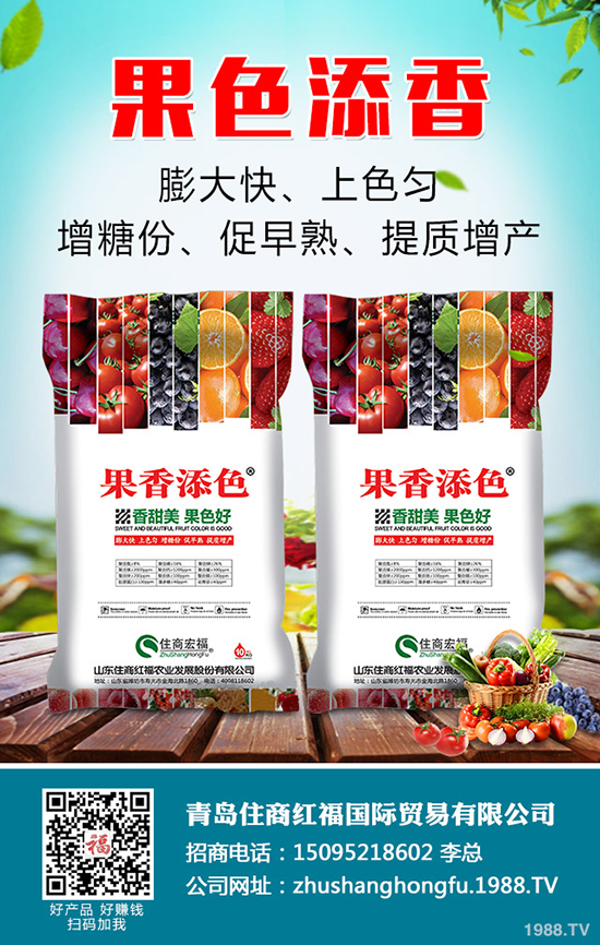 2019年9月初最新鉀肥市場價格行情分析及后市預測