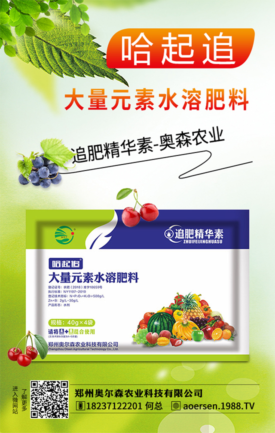 大蔥灰霉病有哪些危害？該如何防治？大蔥灰霉病防治措施