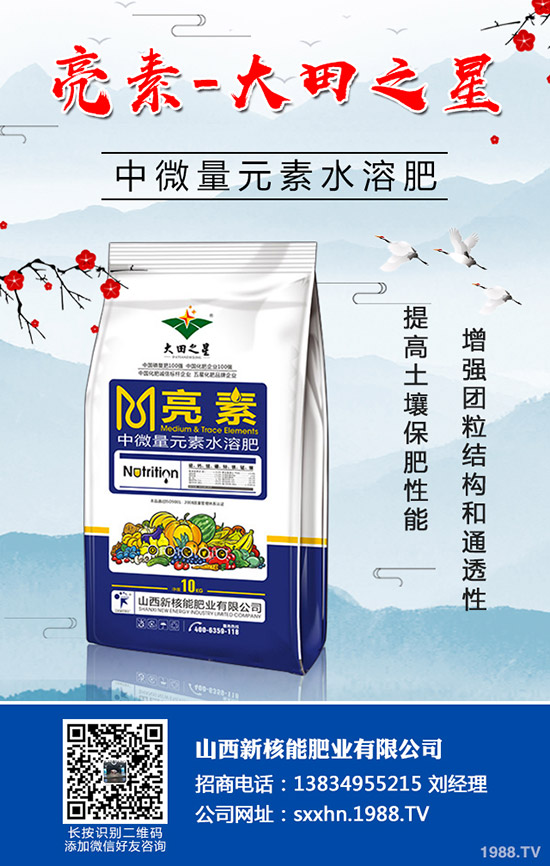 �＾�߲�����������＾���õ������С���������g(sh��)��