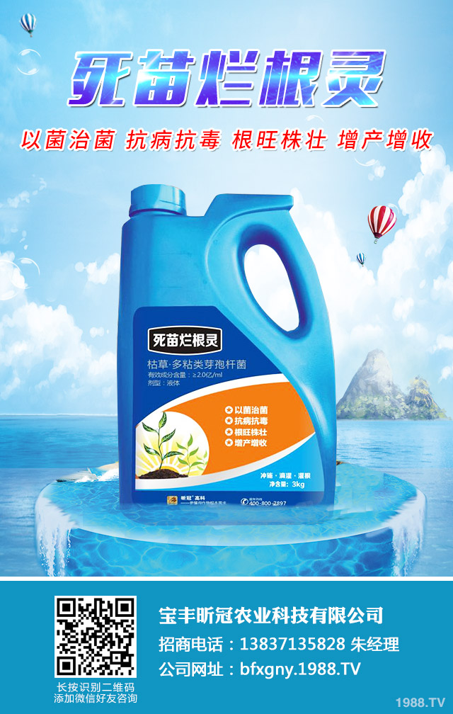 小麥全蝕病與根腐病怎么辦？小麥全蝕病與根腐病防治