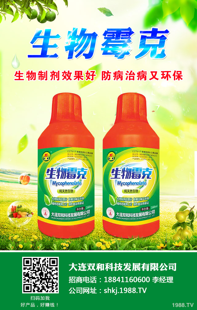 西瓜霜霉病怎么辦？西瓜霜霉病的防治很關(guān)鍵